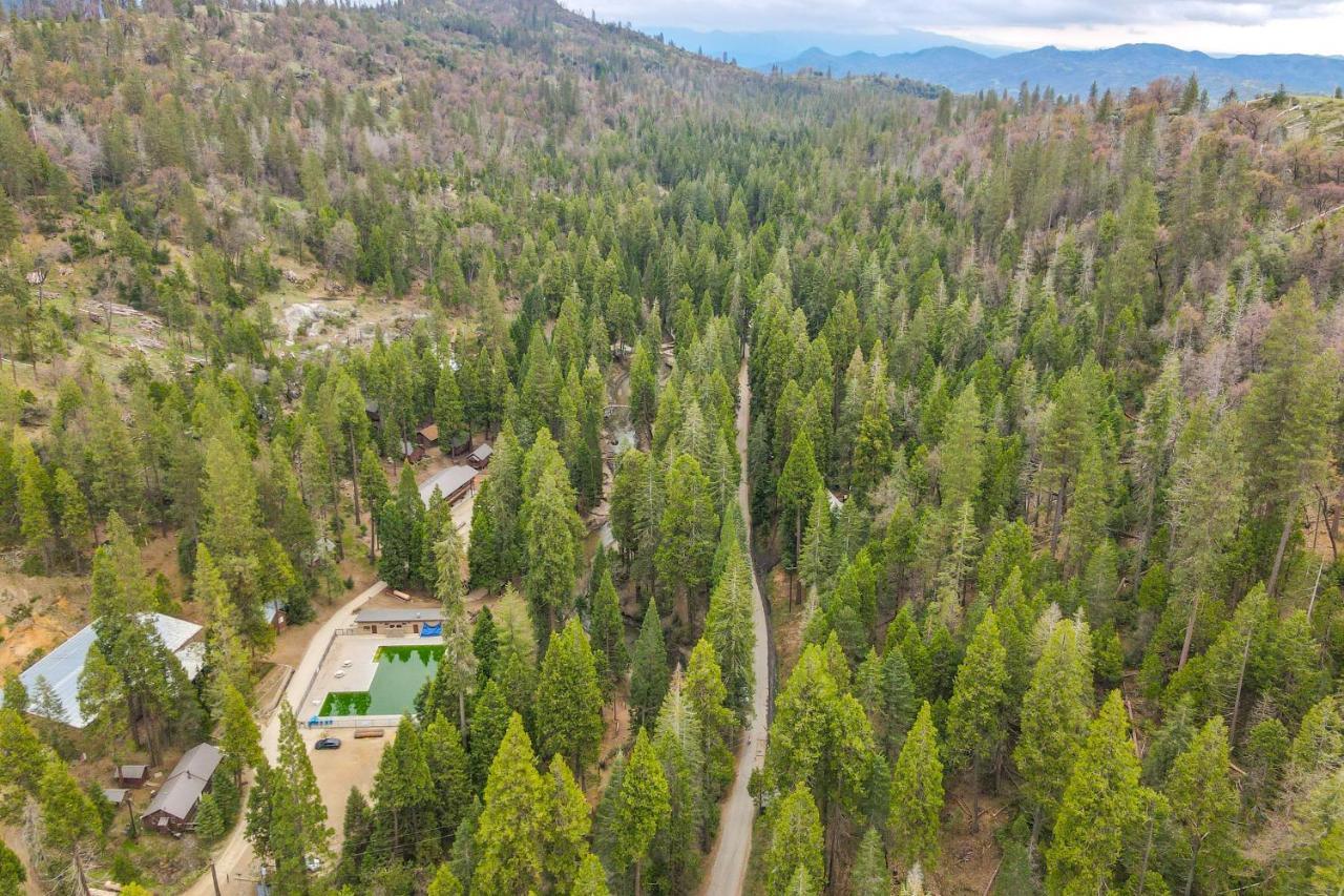 Enchanting Creekside Cabin Near Kings Canyon Park! Badger Екстер'єр фото